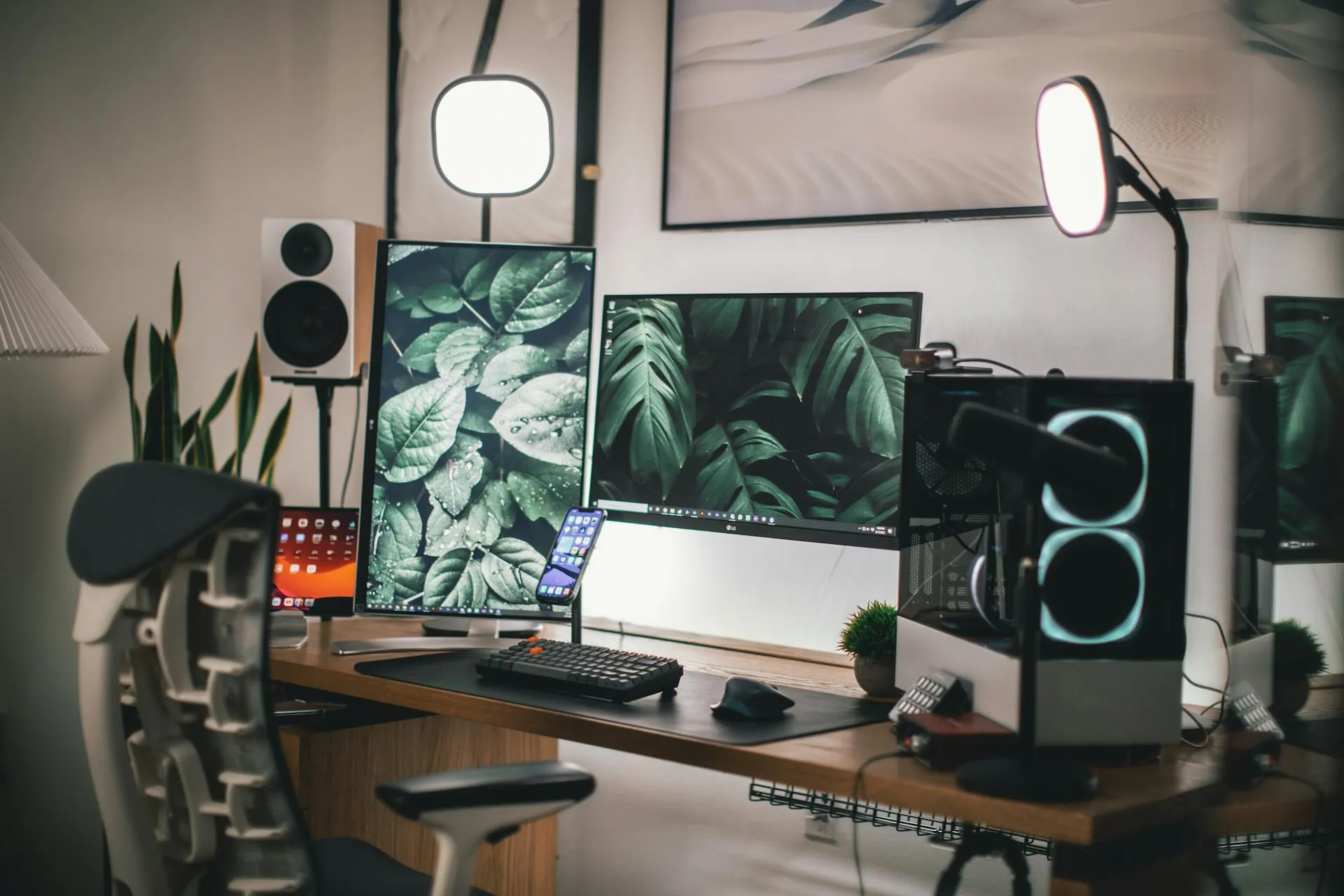 Entertainment & Digital Creators